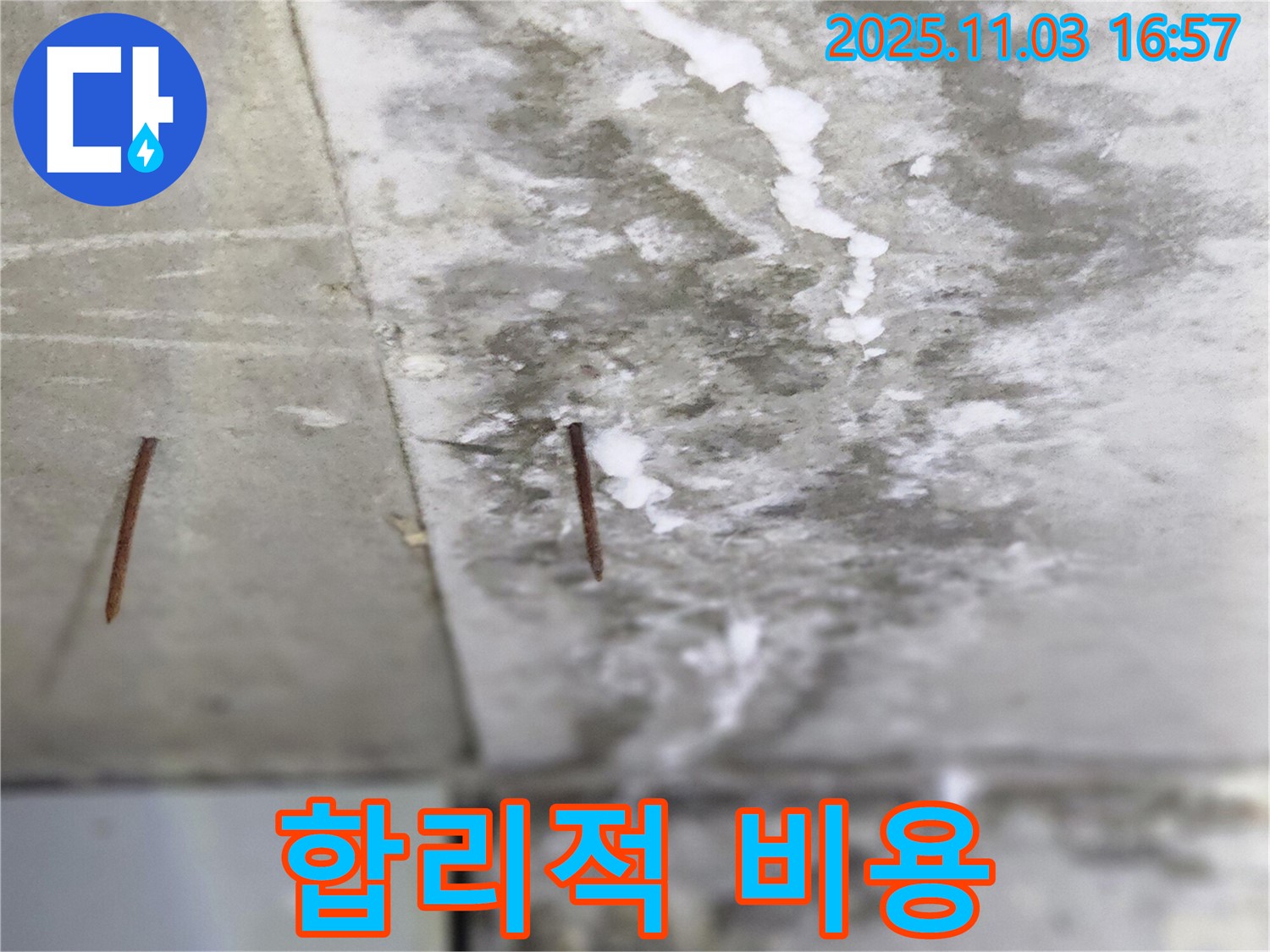양주시 삼숭동 누수 현장 - 합리적인 비용으로 솟은 못 문제를 해결해 드립니다 - 부담 없이 문의하세요.