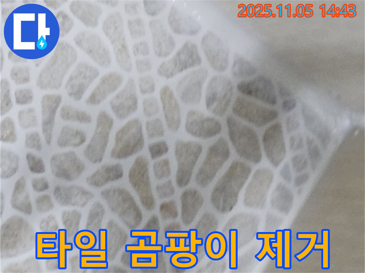 화장실 타일 틈새 누수 - 실리콘 보수 후 곰팡이 제거까지 완벽하게 - 깨끗하고 쾌적한 욕실 환경 조성