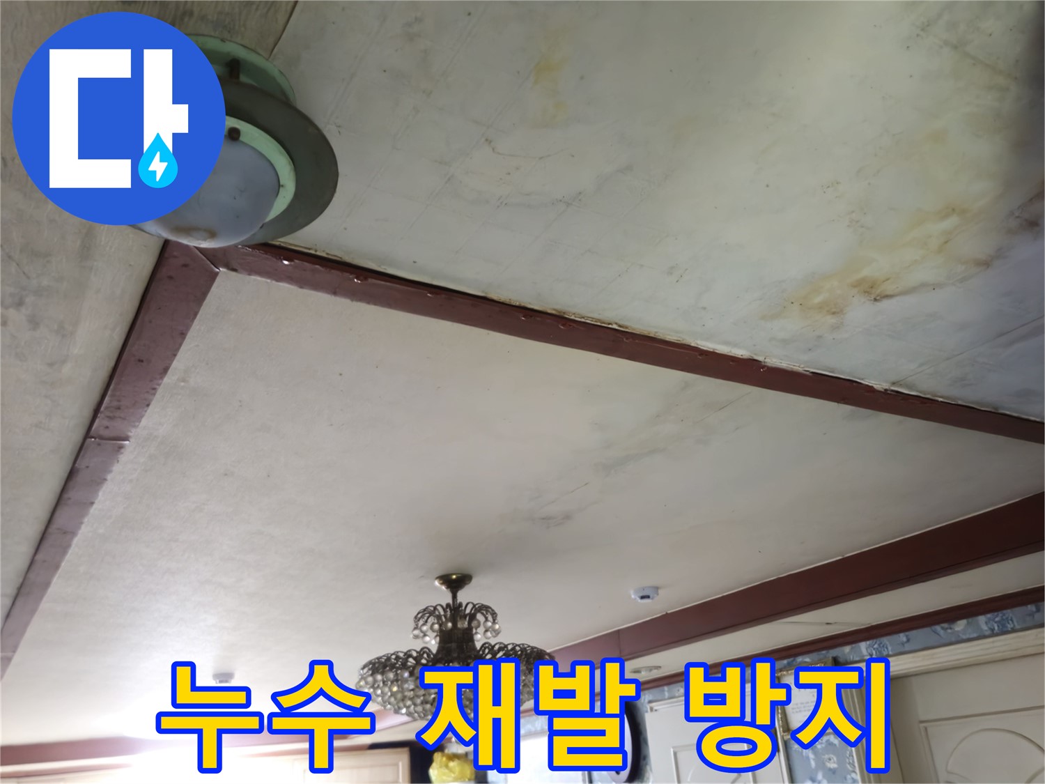 누수 재발 방지를 위한 완벽한 방수 공사