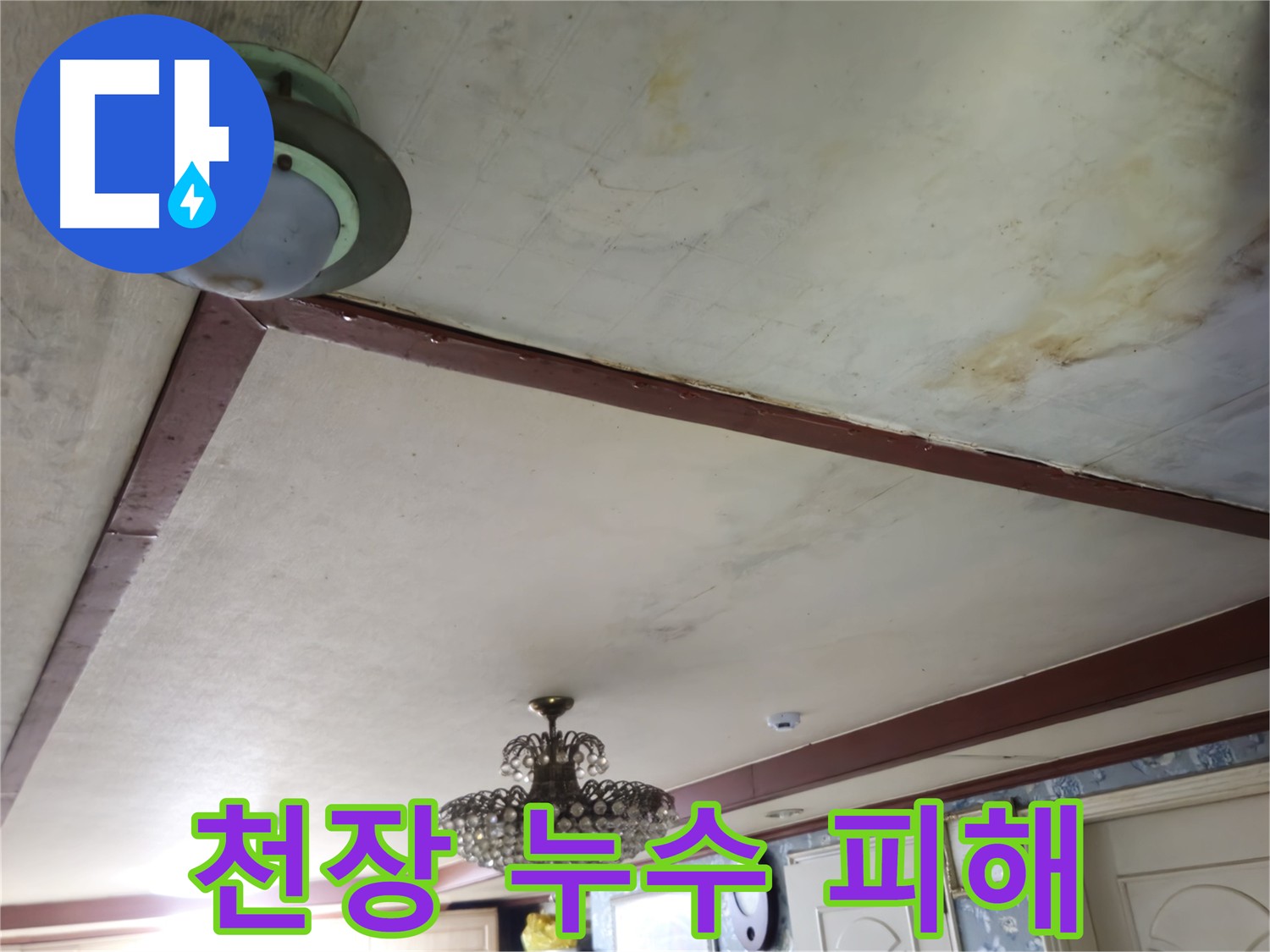 천장 누수 피해 현장 - 정확한 원인 파악과 재발 방지를 위한 누수 공사