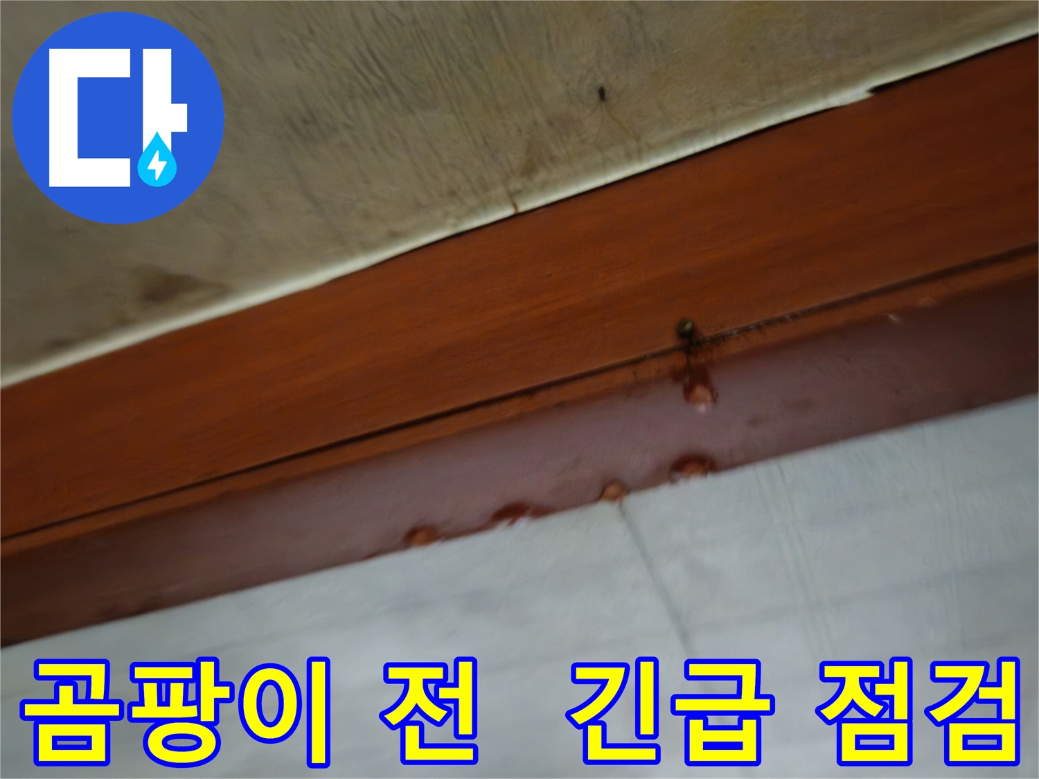 용산구 청파동 누수 - 곰팡이 발생 전 긴급 점검 필요