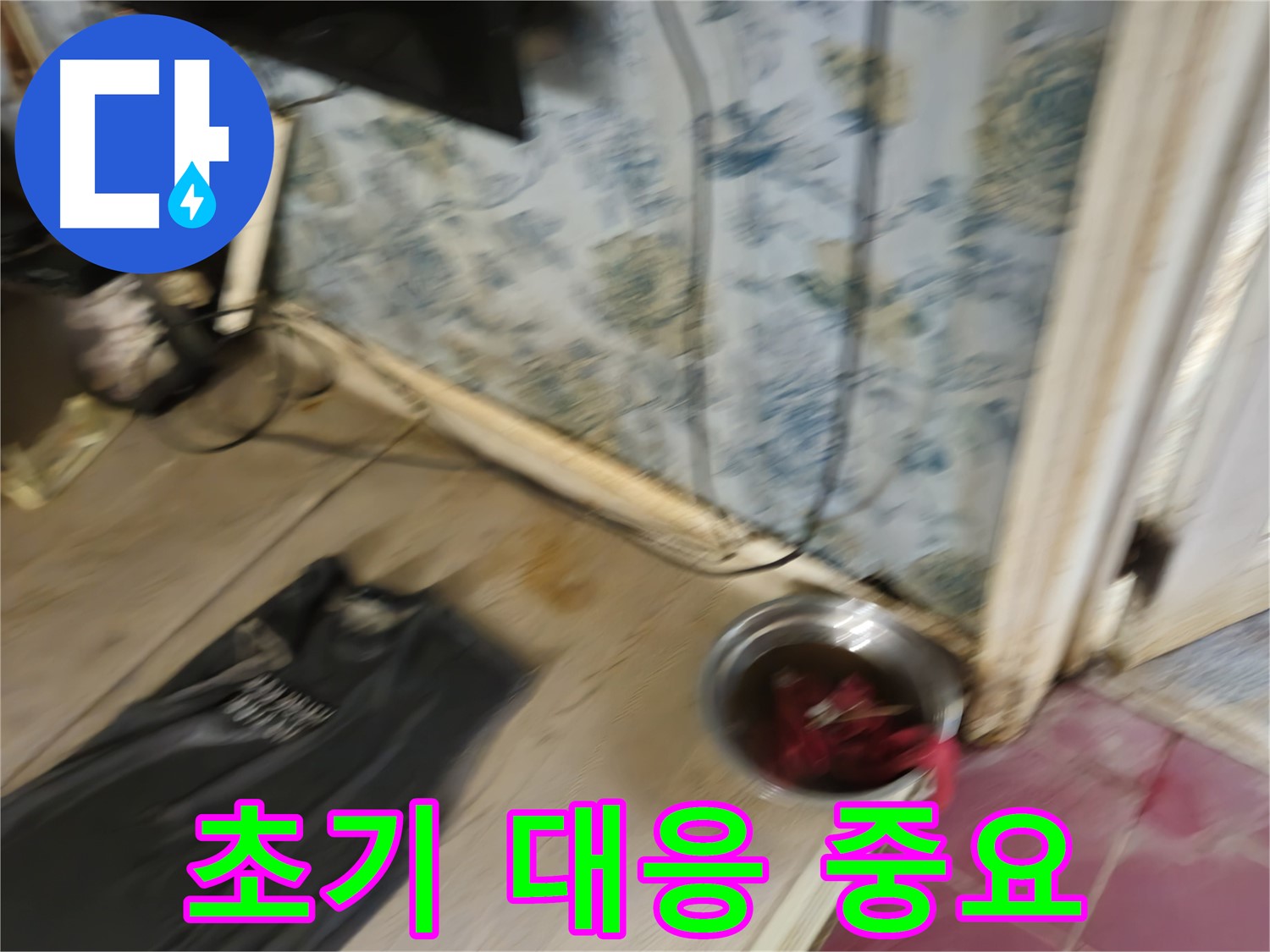 청파동2가 누수 - 누수 초기 대응의 중요성 강조