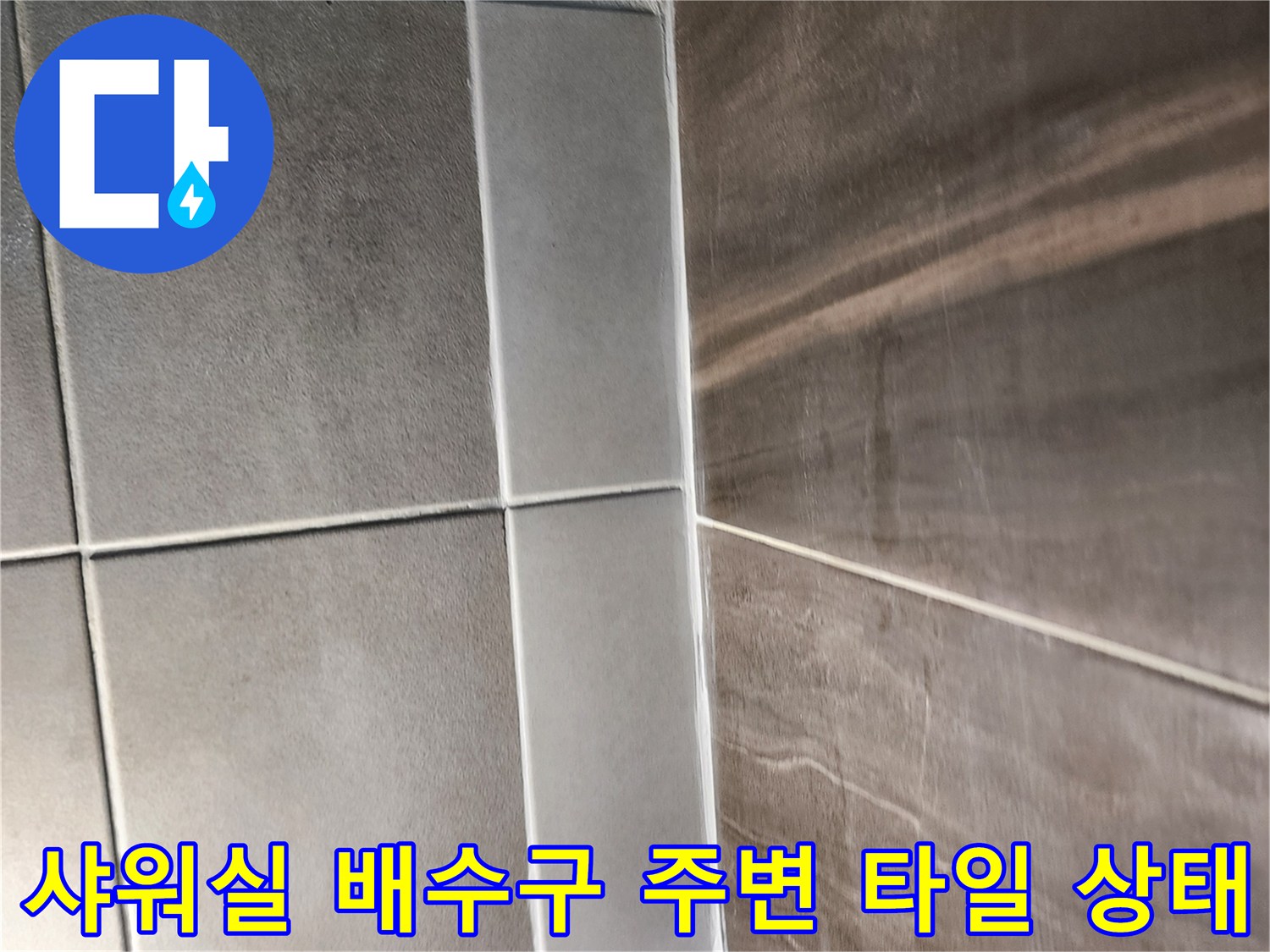 의정부 신곡동-샤워실-바닥-배수구-주변-타일-상태-점검