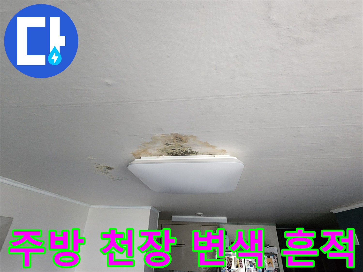 의정부 송산동 주방 천장 조명 주변에 발생한 황색 변색 및 곰팡이 상태