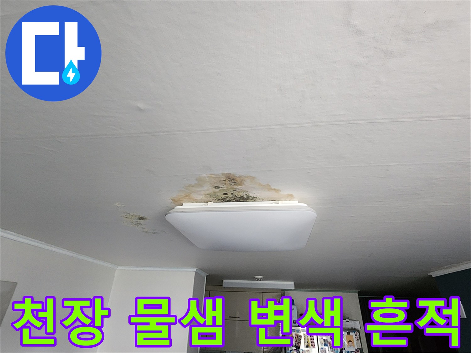 주방 천장 등기구 주변에-발생한 누수 및 곰팡이 오염