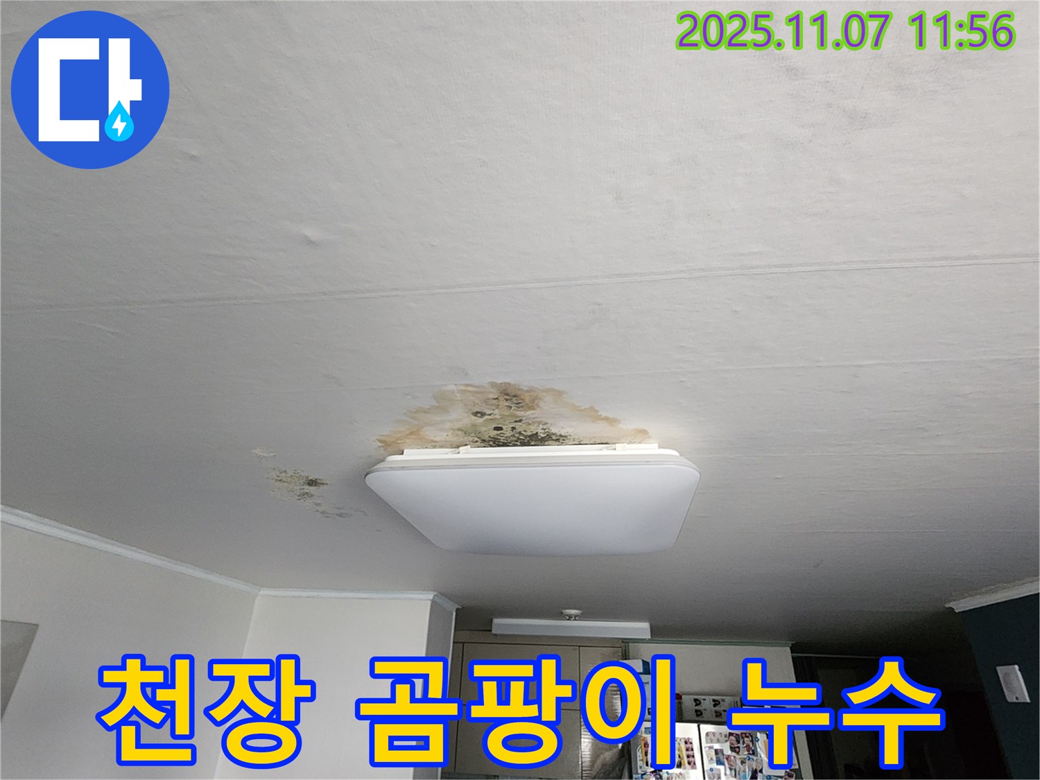 천장 곰팡이 누수 문제 해결 - 곰팡이 제거 및 누수 원인 차단