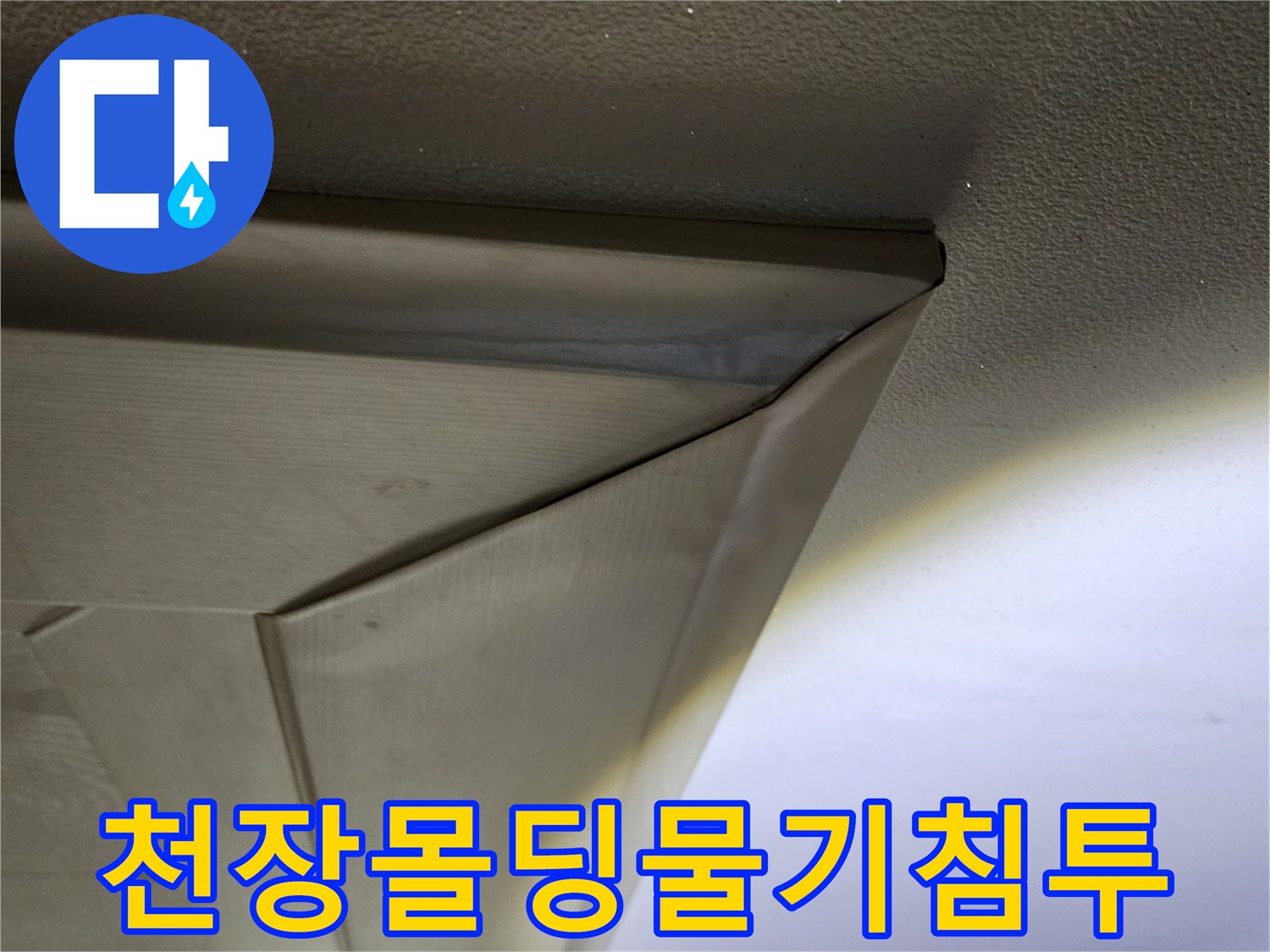 의정부 송산동 현장-천장 몰딩 틈새의 누수 흔적 조사