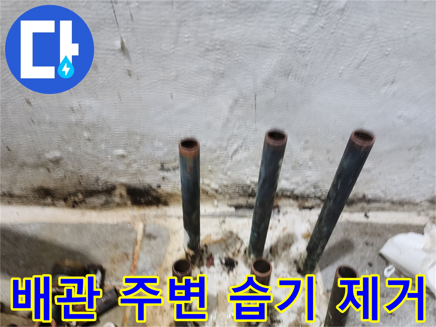 신월동 - 동관 배관 주변 습기 제거 작업