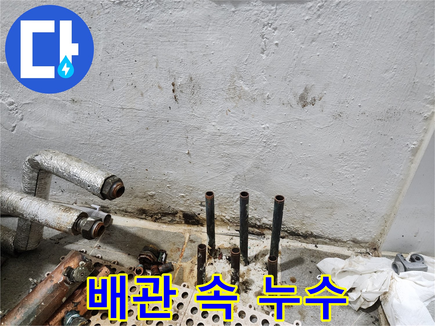 양천구 신월동 한일주택 - 배관 속 숨은 누수