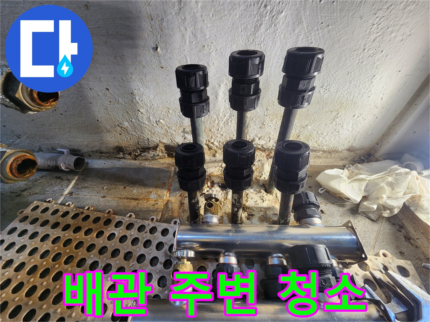 양천구 신월동 한일주택 배관 주변 청소 작업