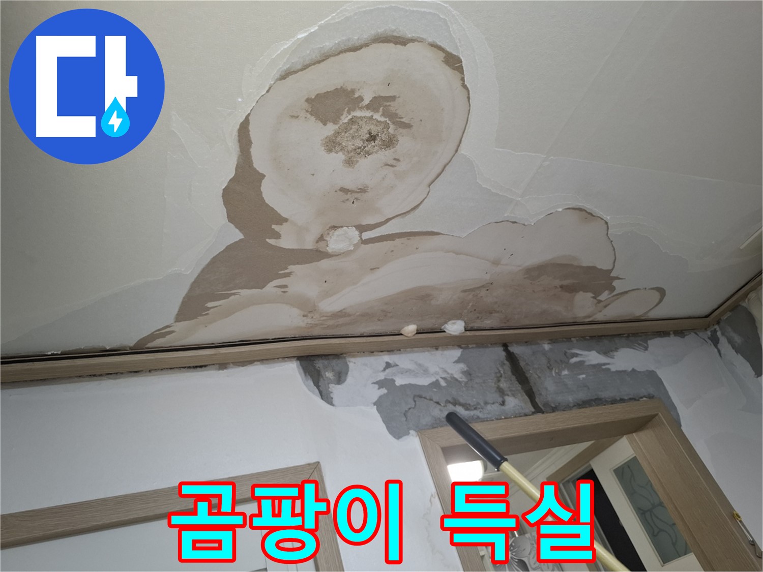 곰팡이 득실 - 쾌적한 공간, 누수 해결로 되찾자!