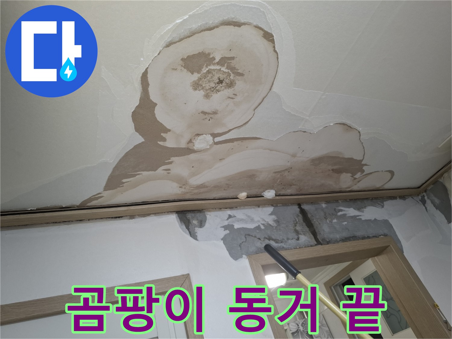 곰팡이와 동거 끝 - 쾌적한 우리 집, 책임 시공 약속!