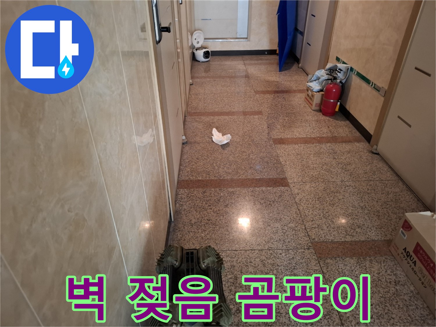 복도 벽이 젖어있고 곰팡이 냄새도 나요!