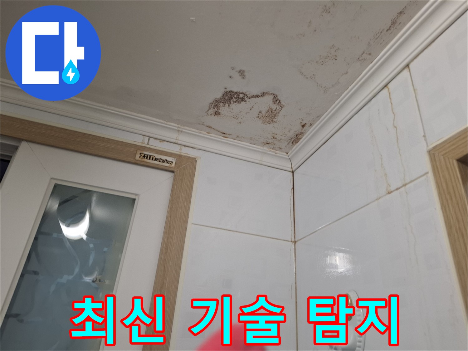 최신 기술 - 정확한 누수 위치 - 과학적 해결
