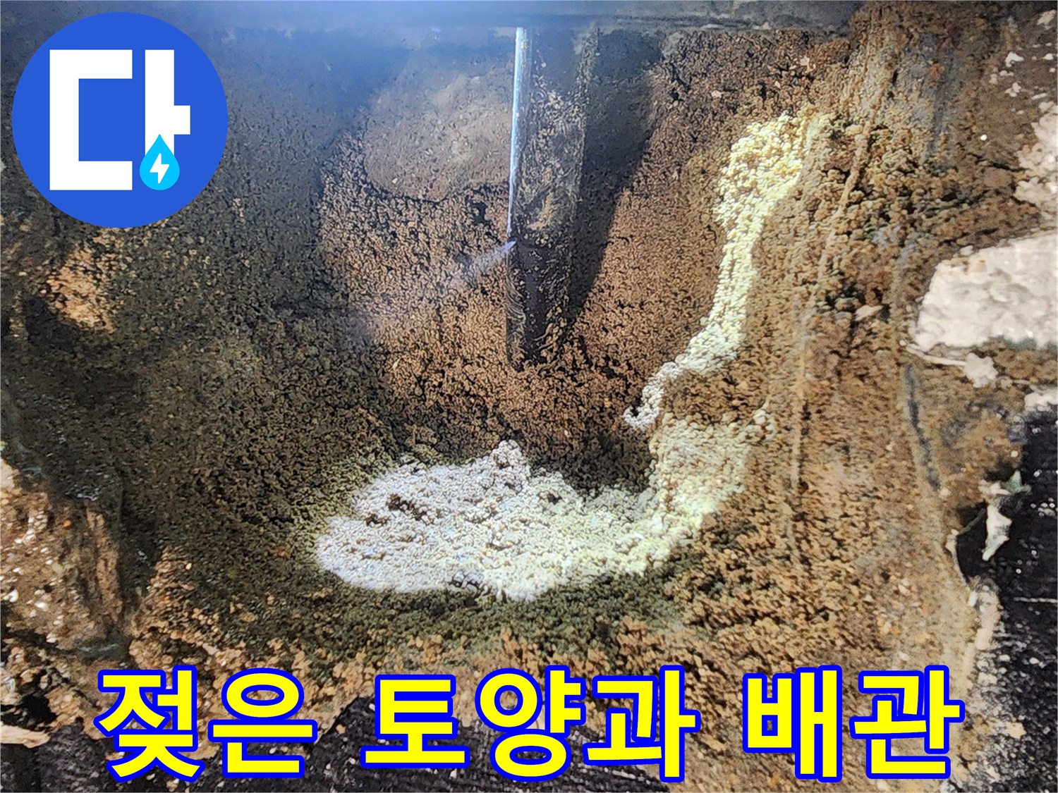 의정le부 흥선동 현장-물샘이 확인된 젖은 토양과 배관 부위
