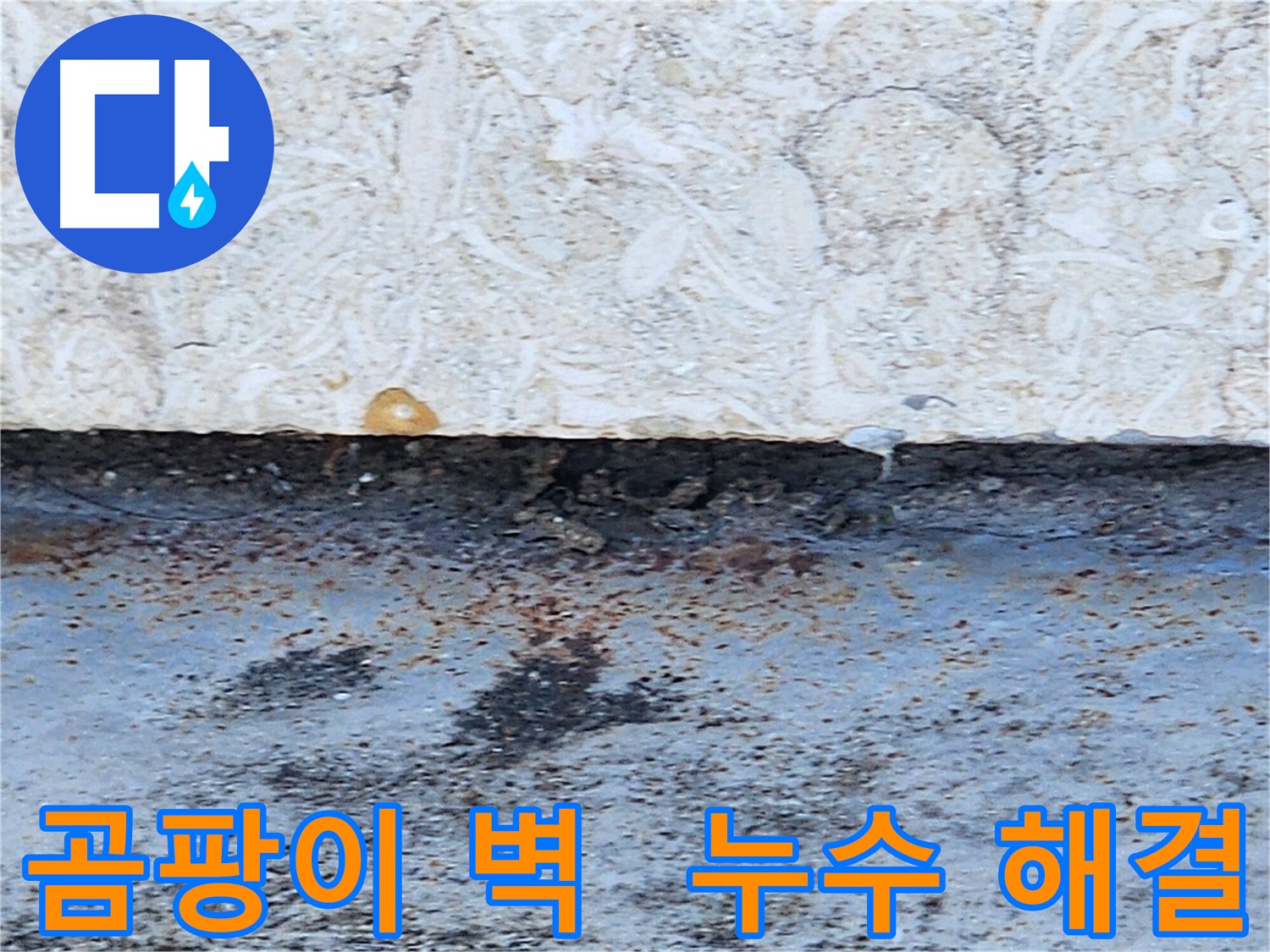 구천면로 누수공사 - 곰팡이 핀 벽, 누수 문제 확실하게 해결