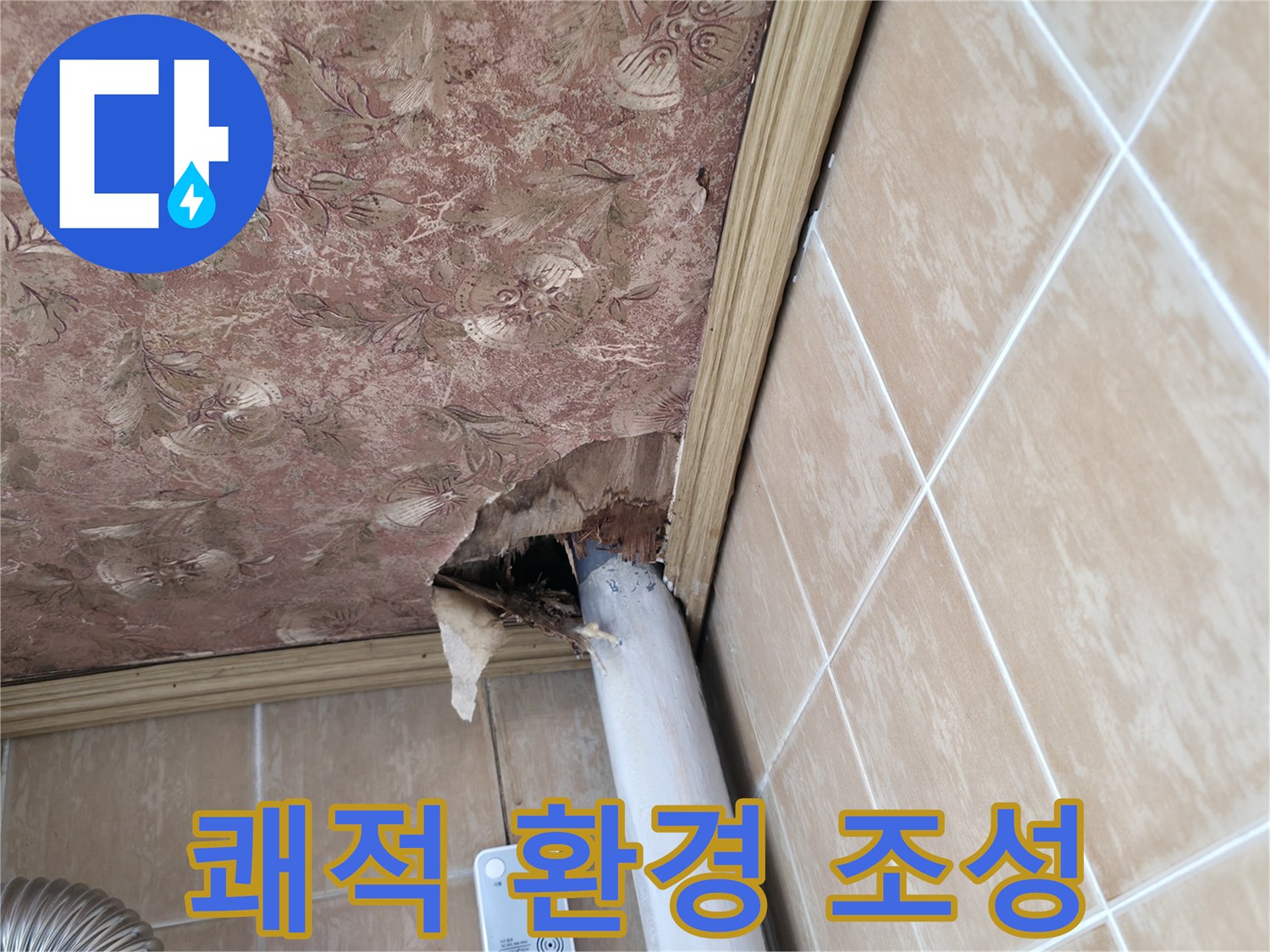 천장 배관 누수 후 쾌적한 환경 조성 - 습기 제거 및 살균 소독