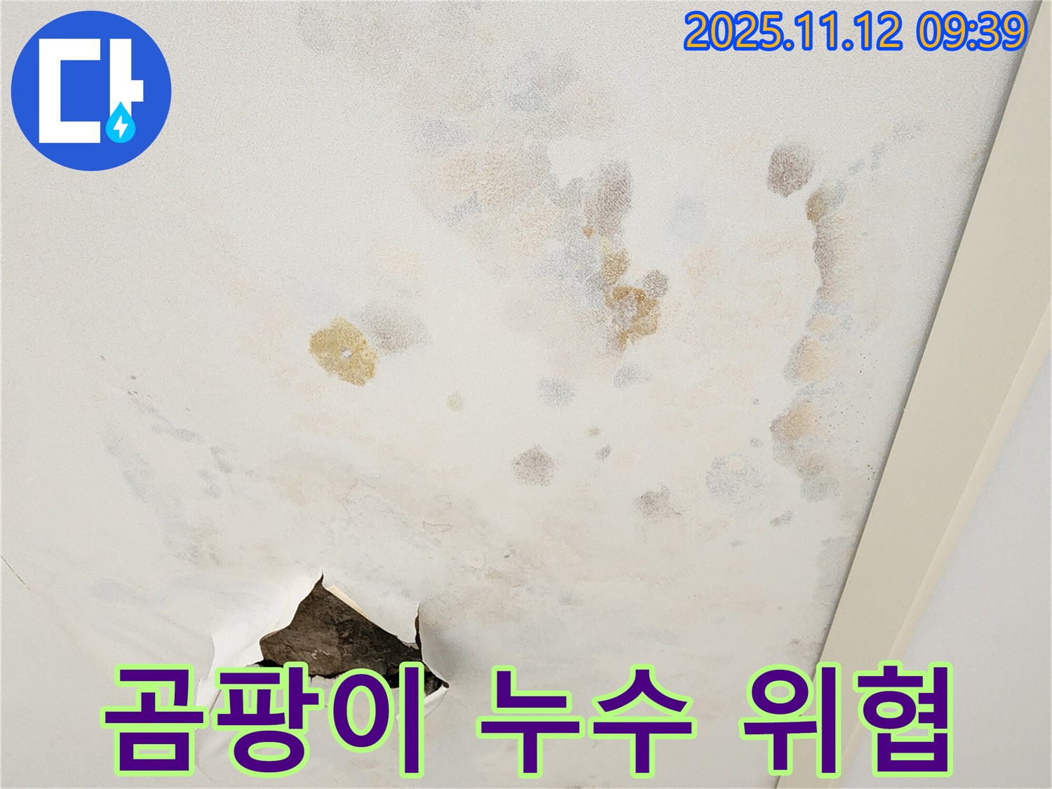 곰팡이 - 누수 - 건강 위협 이중고