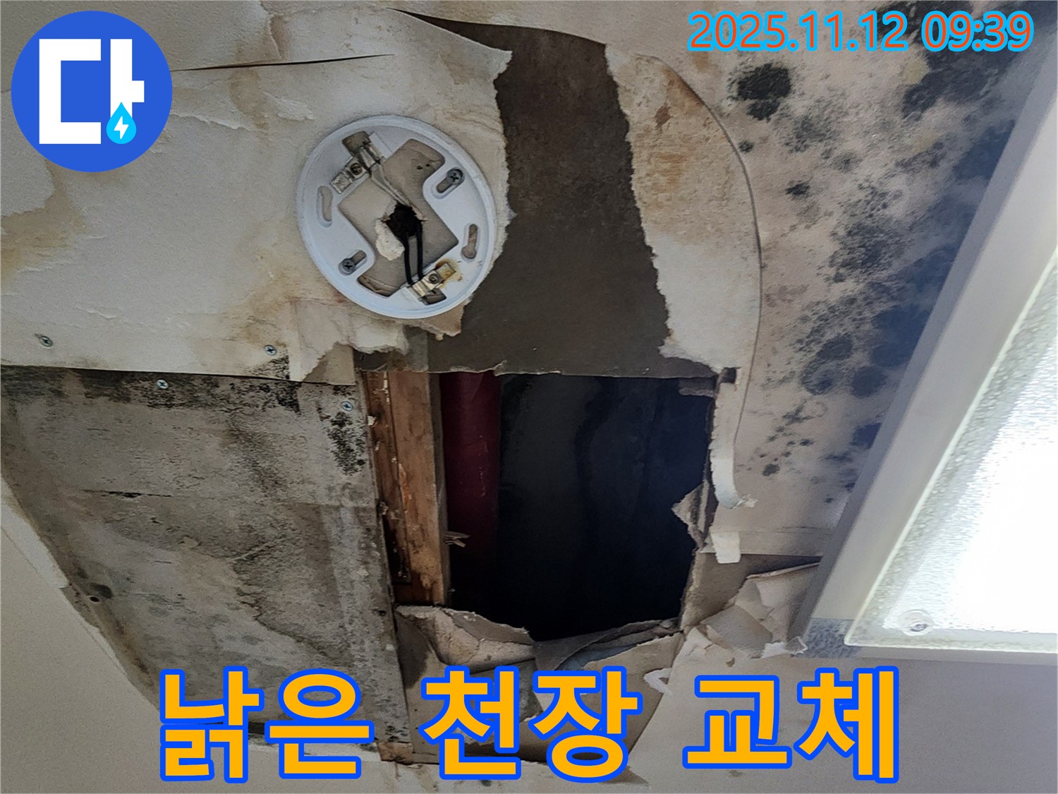 낡고 손상된 천장 - 누수로 인해 낡고 손상된 천장, 교체 및 산뜻한 새로운 단장 필요