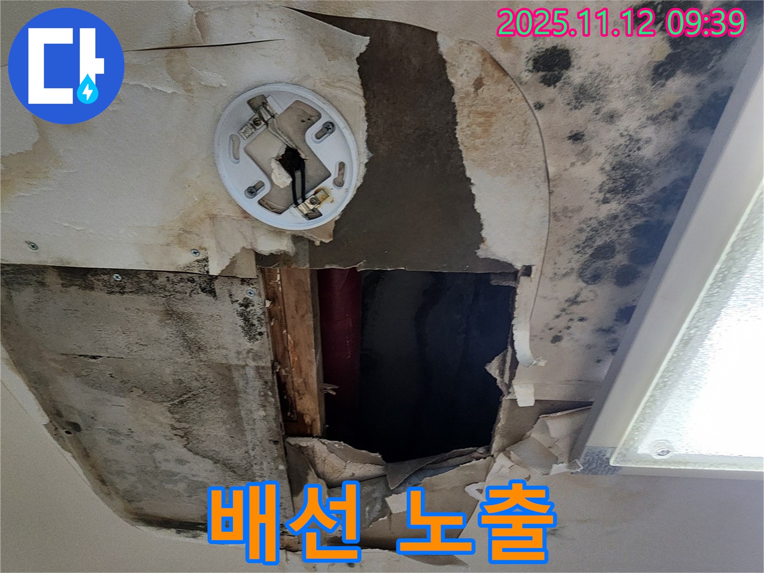 전기 배선 노출 - 누수로 인해 전기 배선이 노출된 상황, 누전 위험 및 감전 사고 예방을 위한 긴급 점검 필요