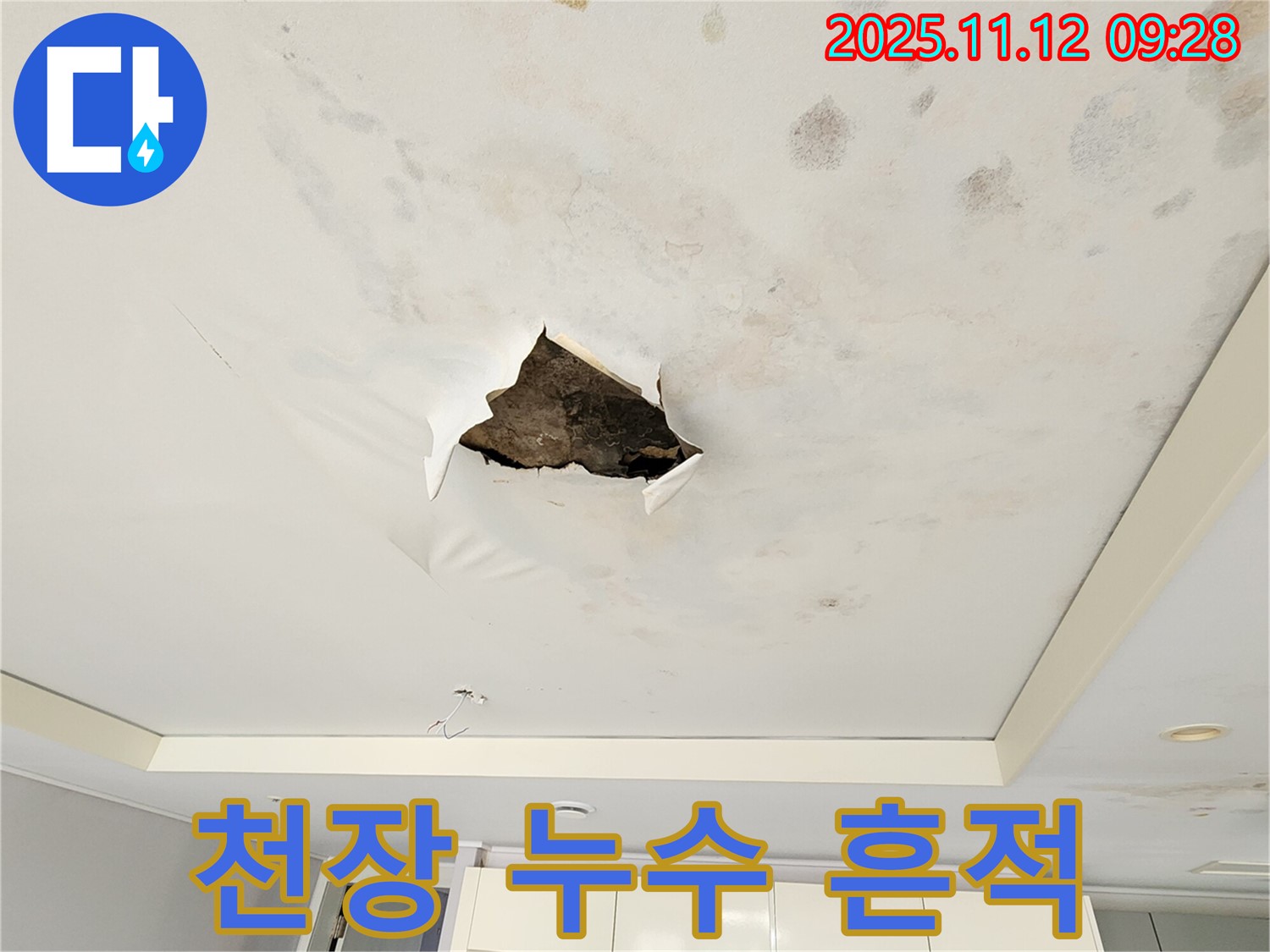 천장 누수 흔적 - 천장에 물이 스며들어 생긴 얼룩과 곰팡이 자국을 보여주는 사진입니다.