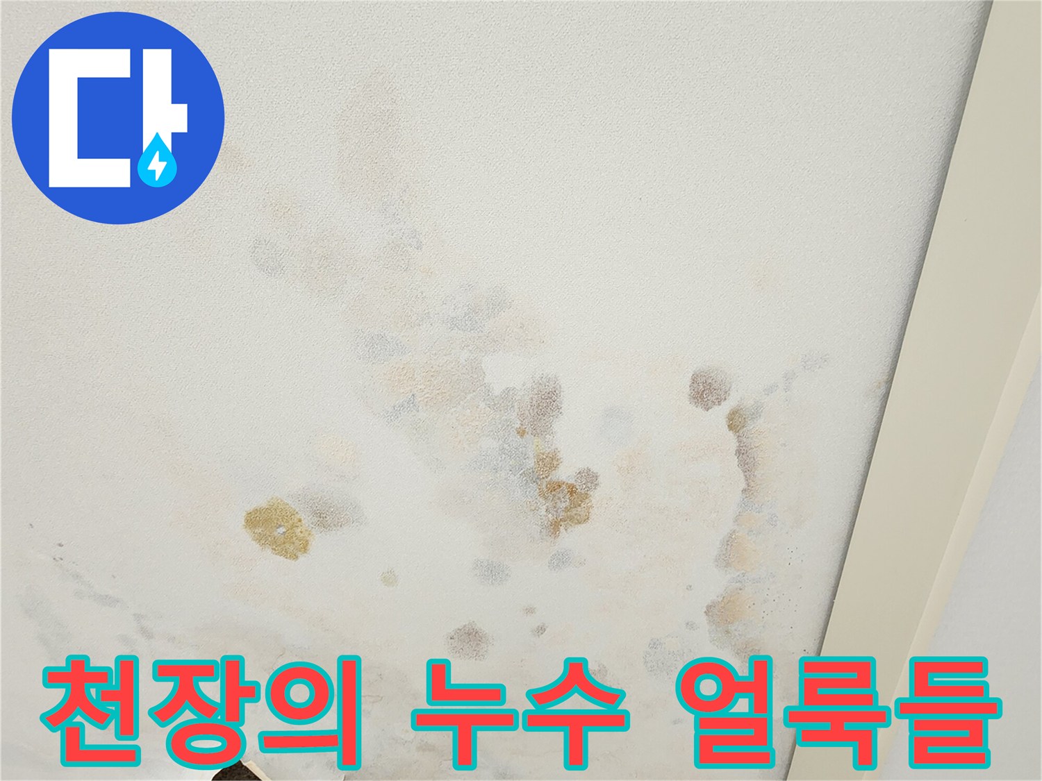 천장 벽면에 나타난 여러 형태의 물자국과 변색