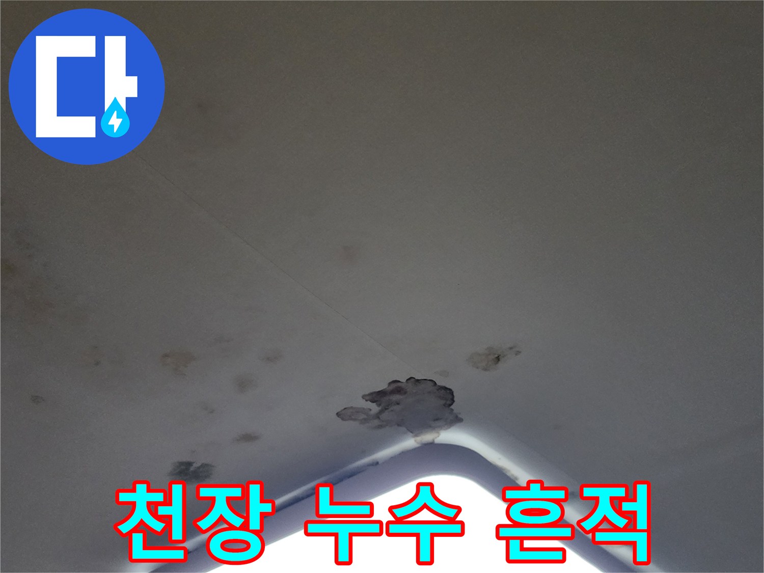 천장 조명 근처의 젖은 도배지와 곰팡이 발생 부위