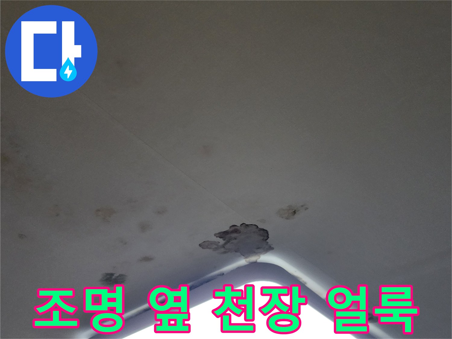 천장 조명 기구 주변의 젖은 흔적과 곰팡이 분포