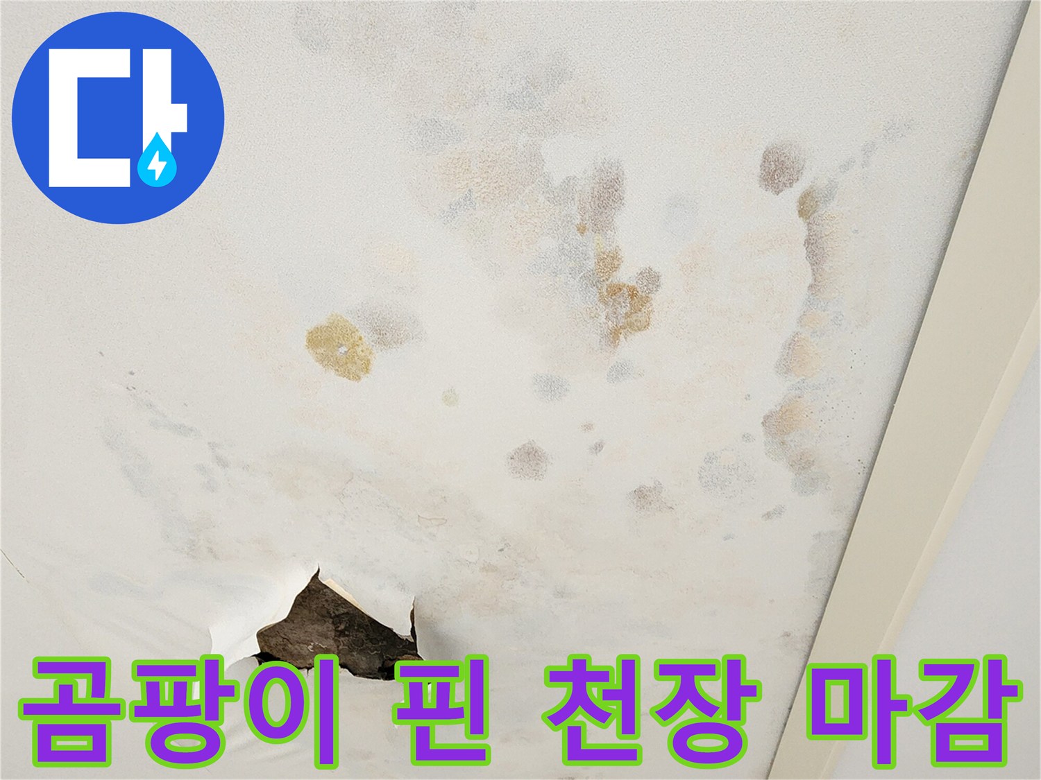 포천 무봉리 - 습기로 인해 변색된 천장 마감재와 얼룩