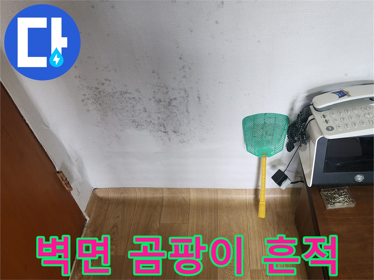 포천 무봉리 아파트 벽면에 발생한 검은색 곰팡이와 습기 흔적