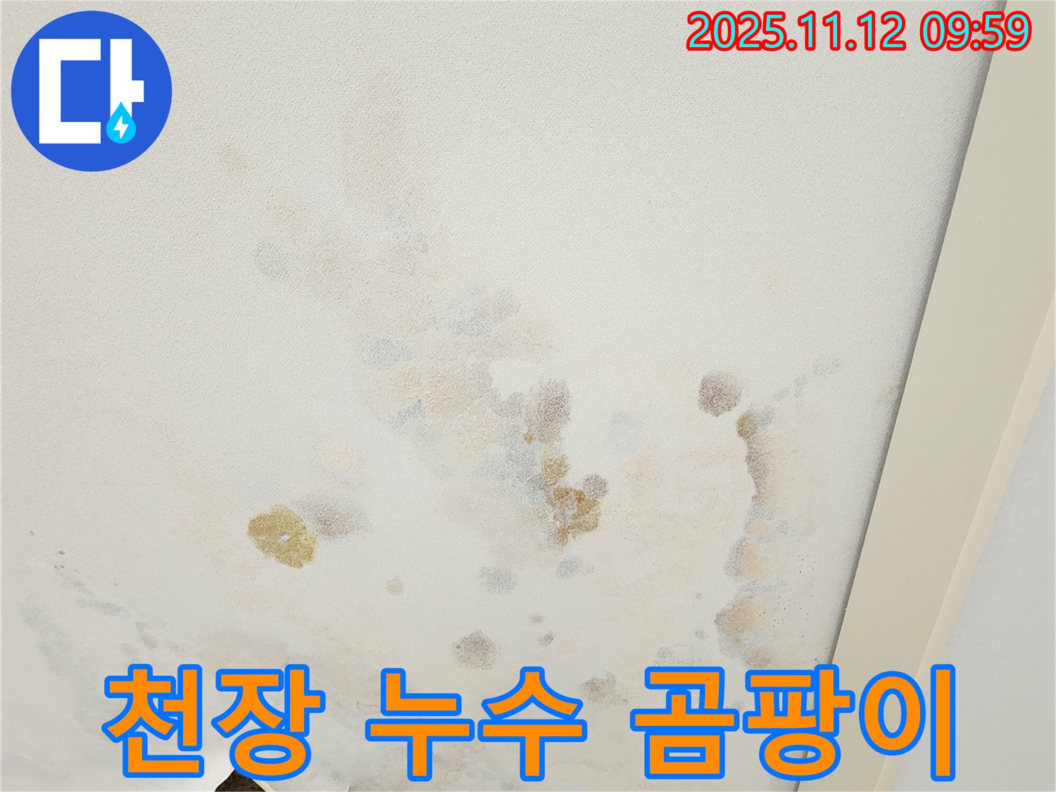 포천 소흘읍 무봉리 누수 현장 - 심각한 천장 누수 자국과 곰팡이