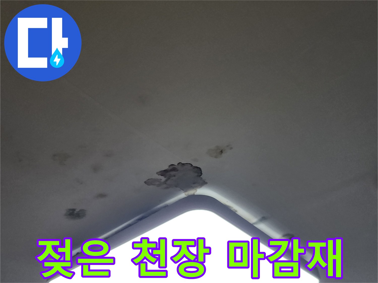 하얀 천장 바탕에 나타난 어두운 색의 누수 및 곰팡이 흔적