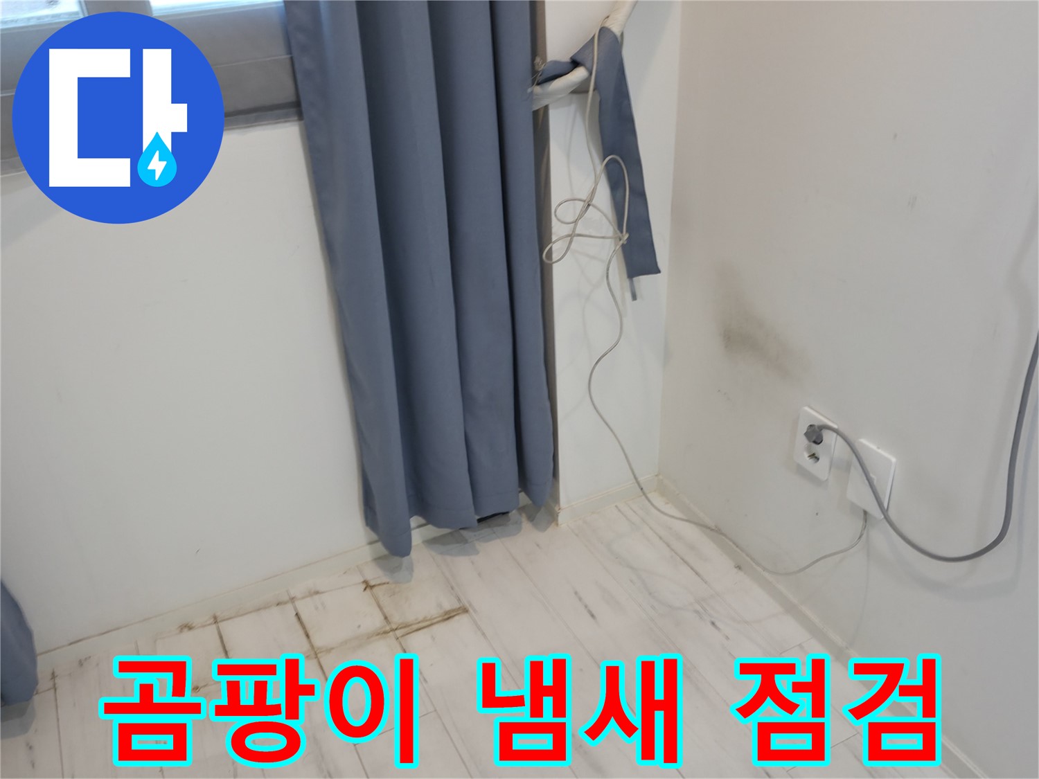 관악구 누수 - 곰팡이 냄새 문제 - 정확한 누수 진단