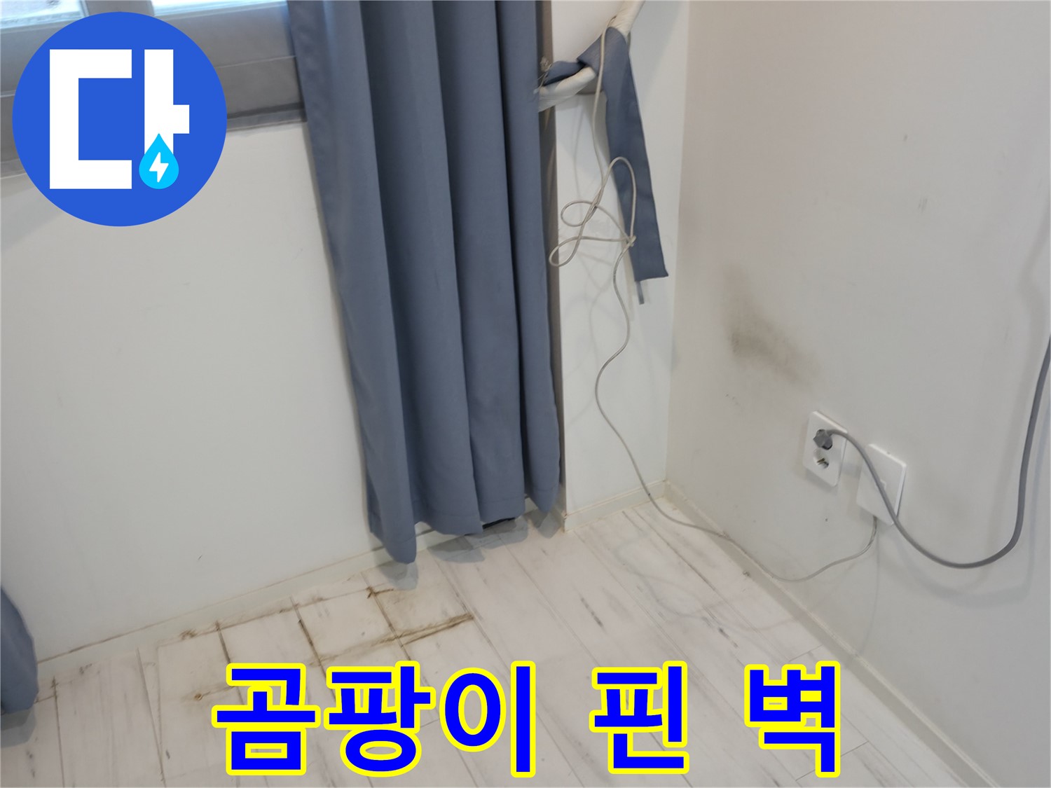 관악구 누수 - 곰팡이 핀 벽 문제 - 누수 해결 위한 전문 기술