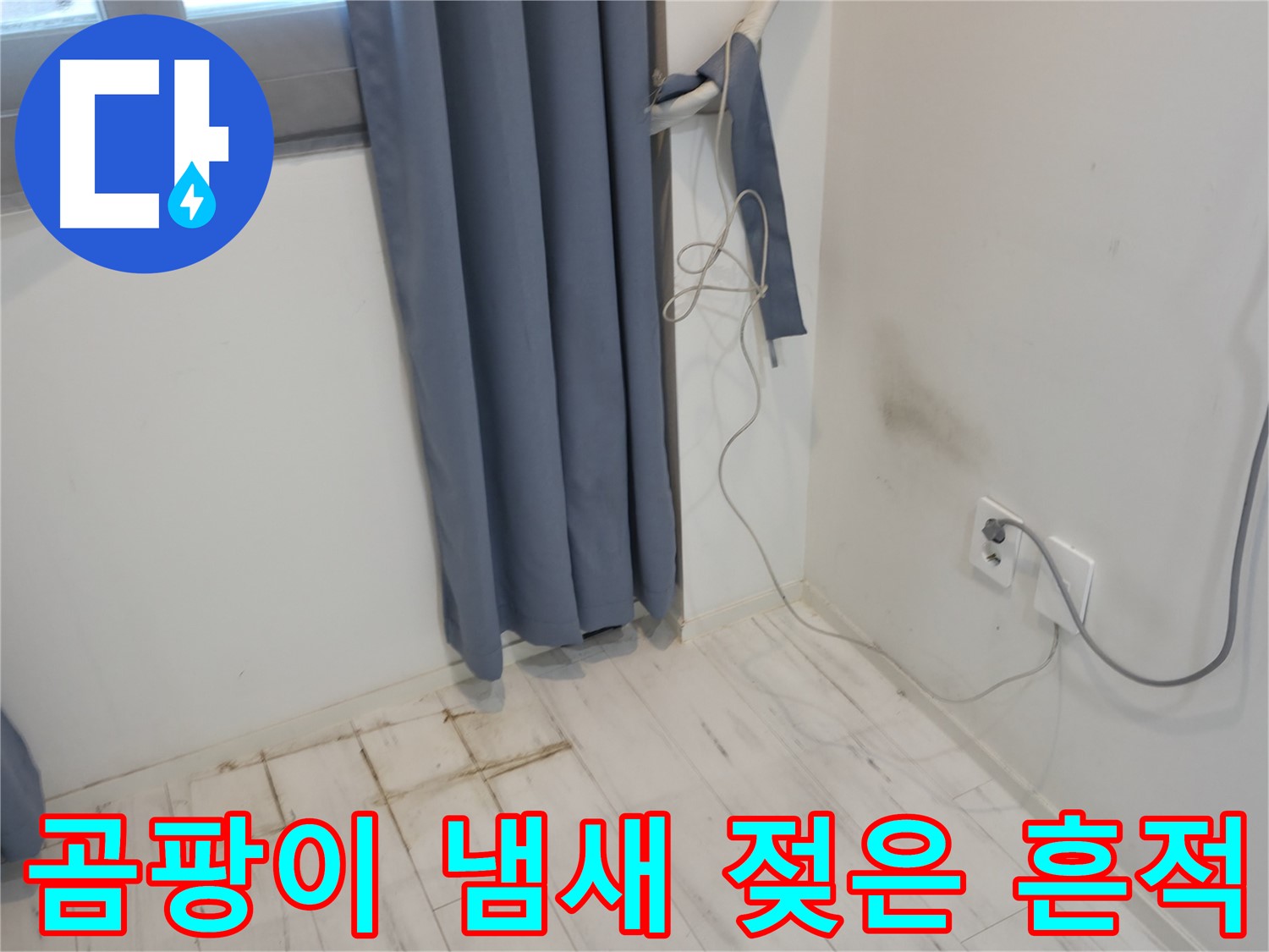 관악구 누수 - 벽 곰팡이 냄새와 젖은 흔적 문제 - 정확한 누수 진단