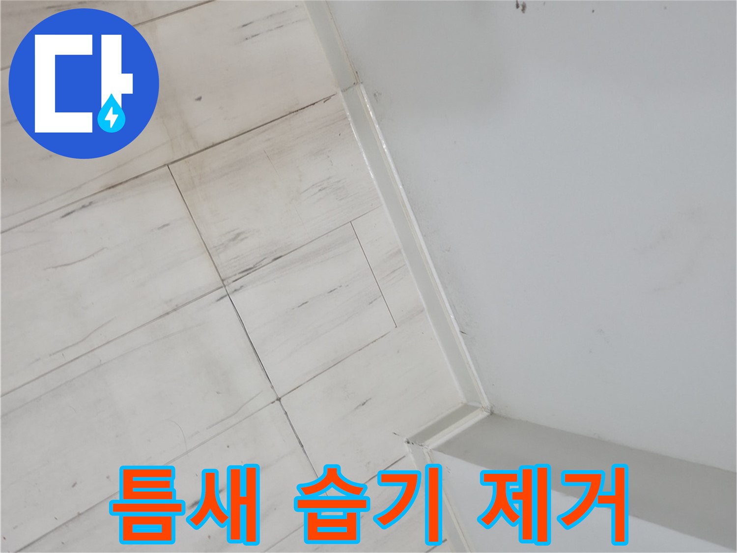 관악구 마루 틈새 - 누수 정밀 진단 및 해결
