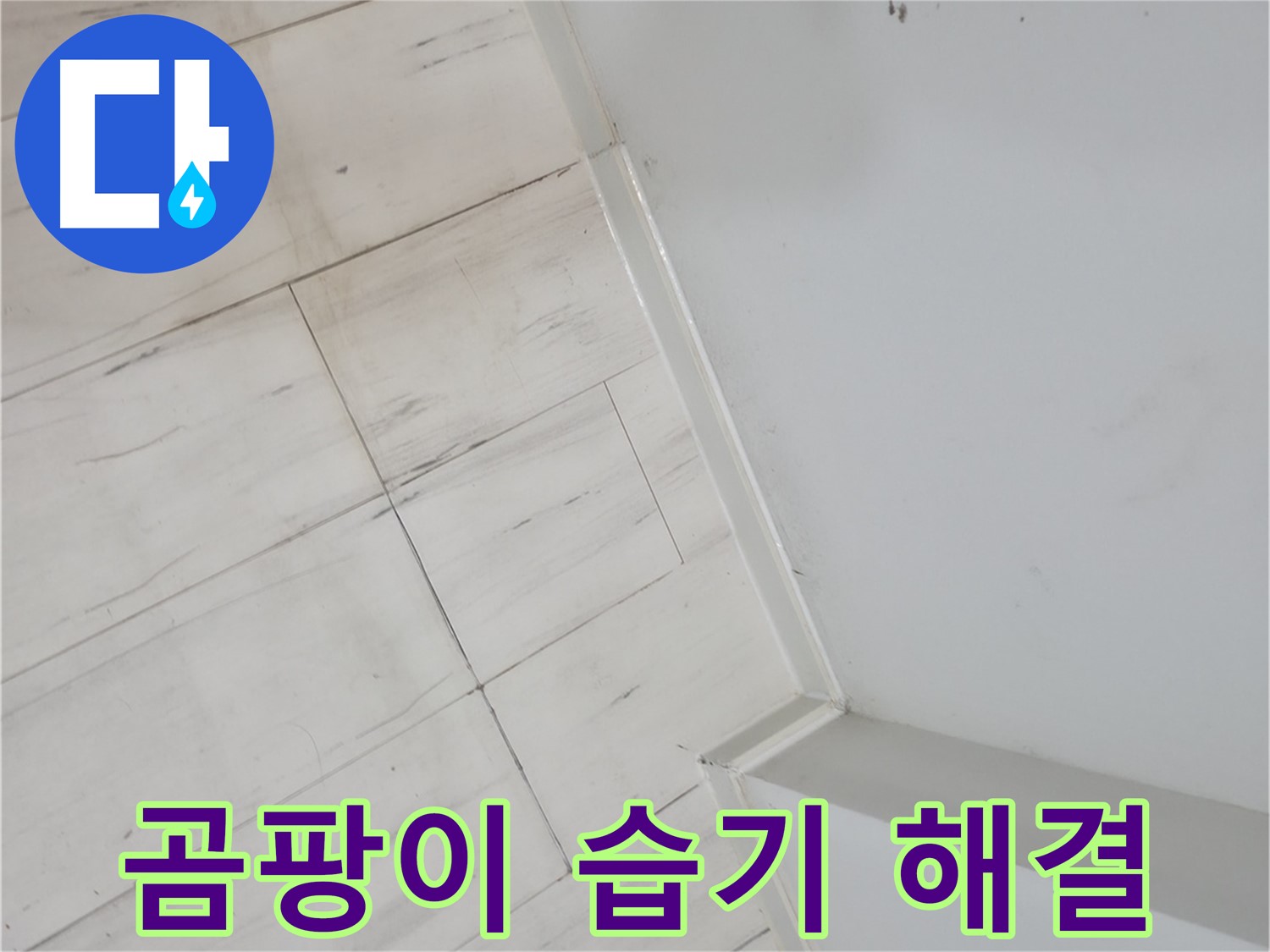 관악구 실리콘 곰팡이 - 습기 누수 해결