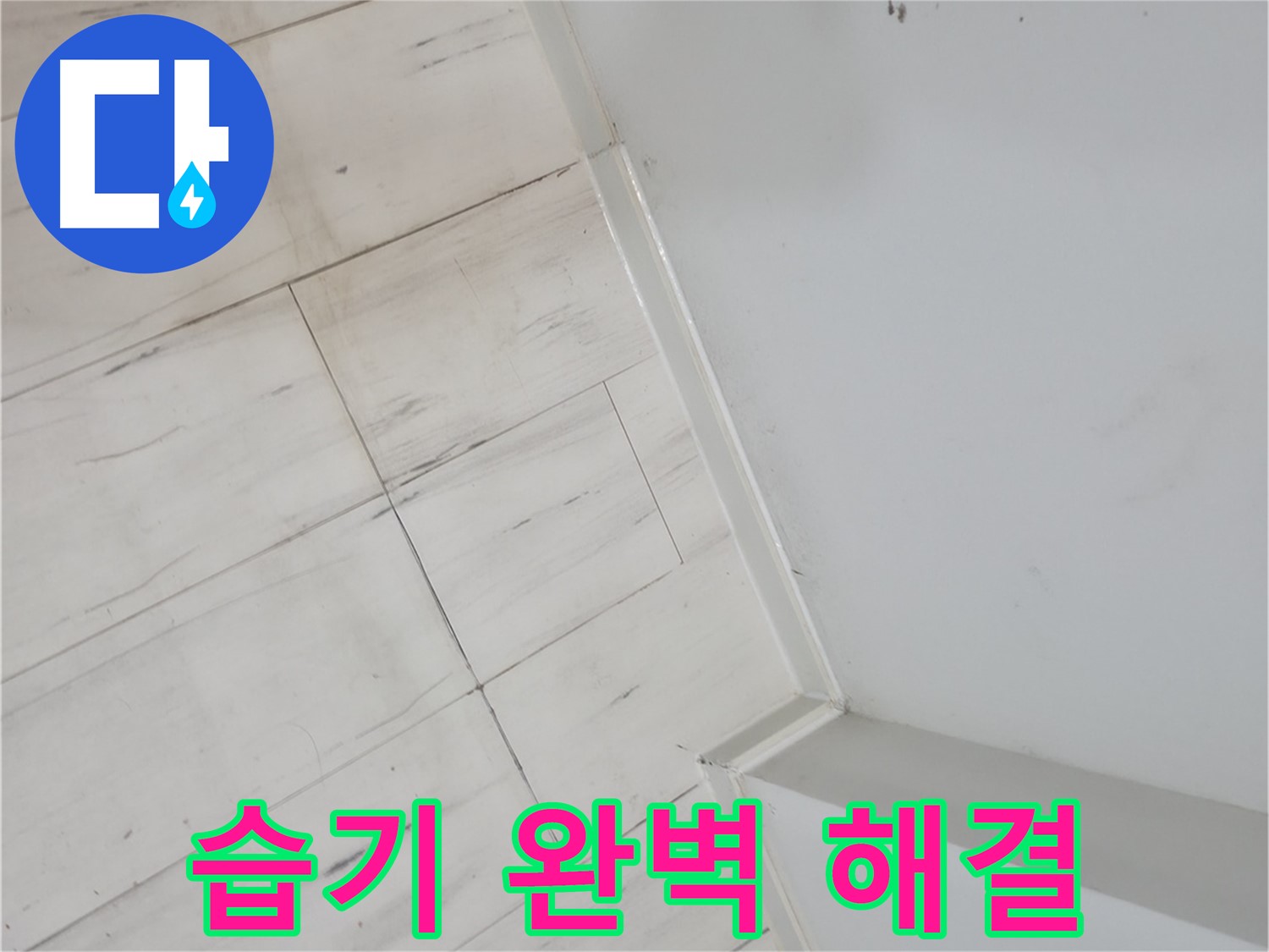 관악구 장판 들뜸 - 습기 누수 해결