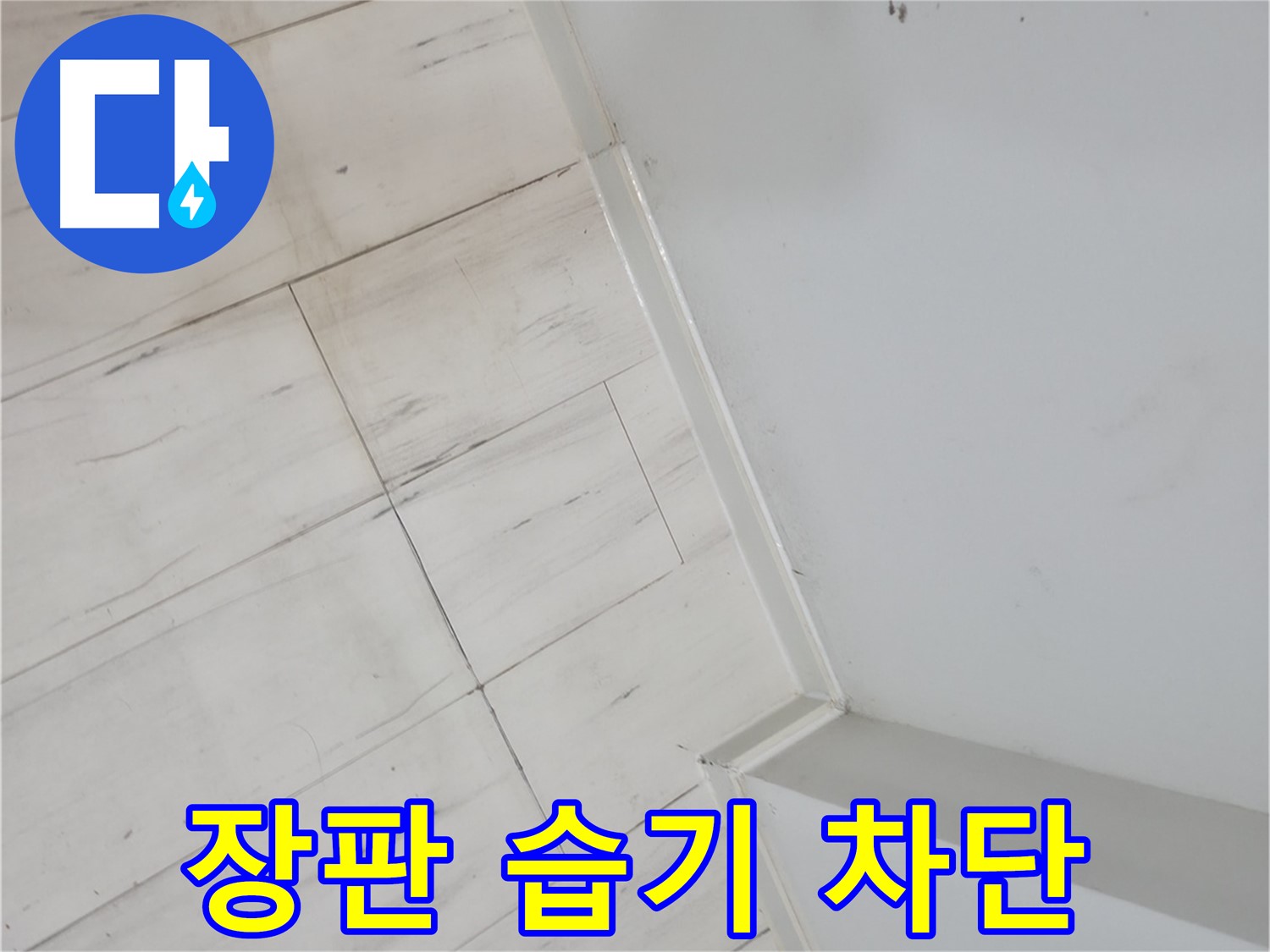관악구 장판 밑 - 습기 누수 차단 시공