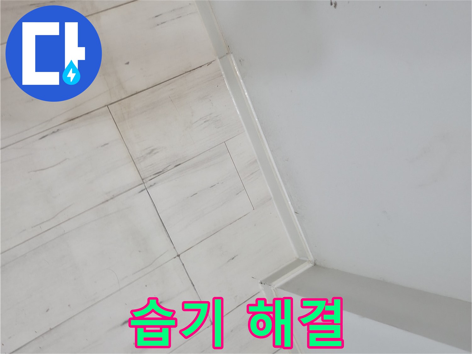 관악구 젖은 바닥 습기 누수 - 건물 가치 향상 및 쾌적한 환경 조성