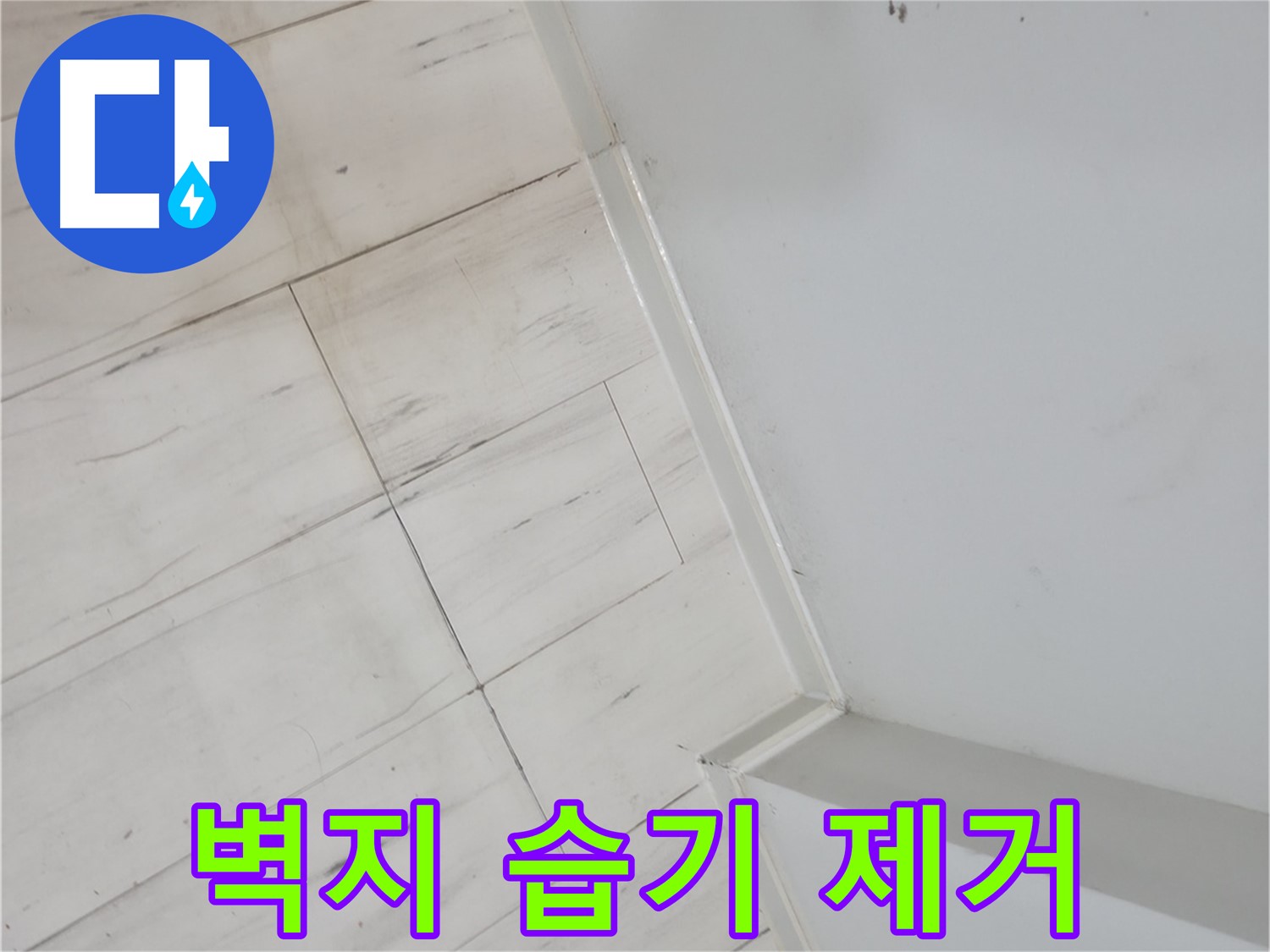 관악구 젖은 벽지 - 습기 누수 해결