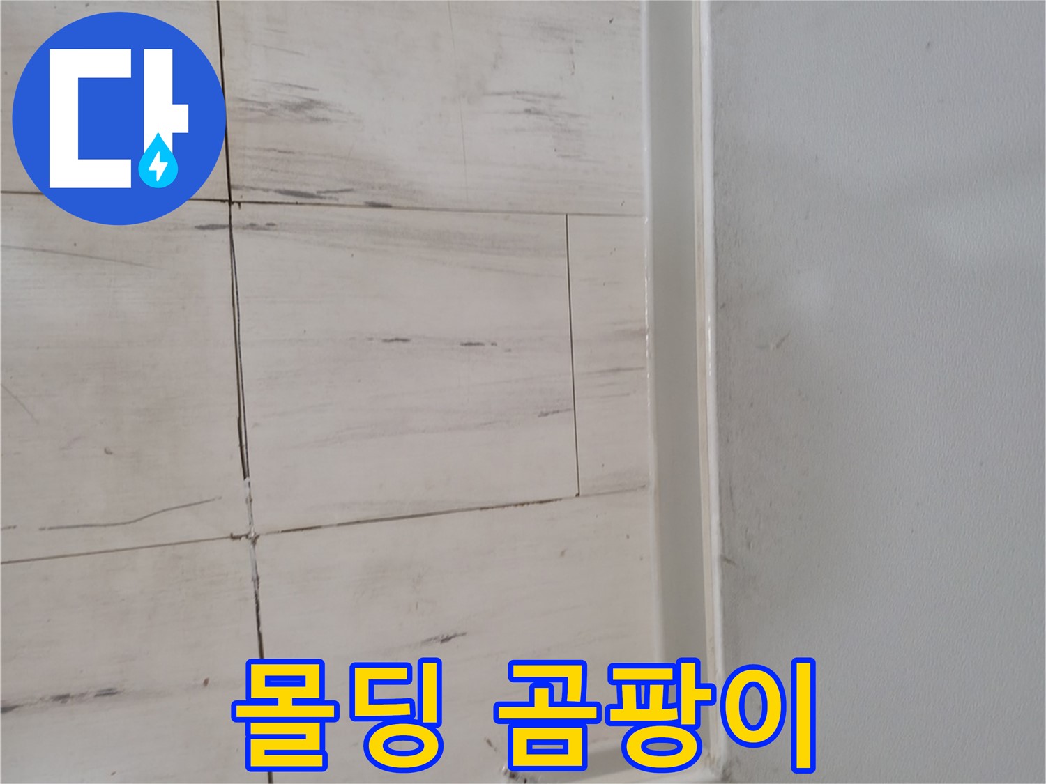 몰딩 곰팡이 - 숨은 누수 신호
