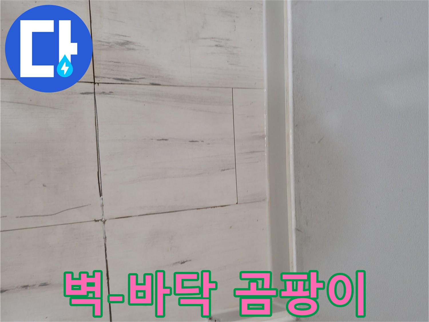 벽-바닥 - 곰팡이 누수 징후