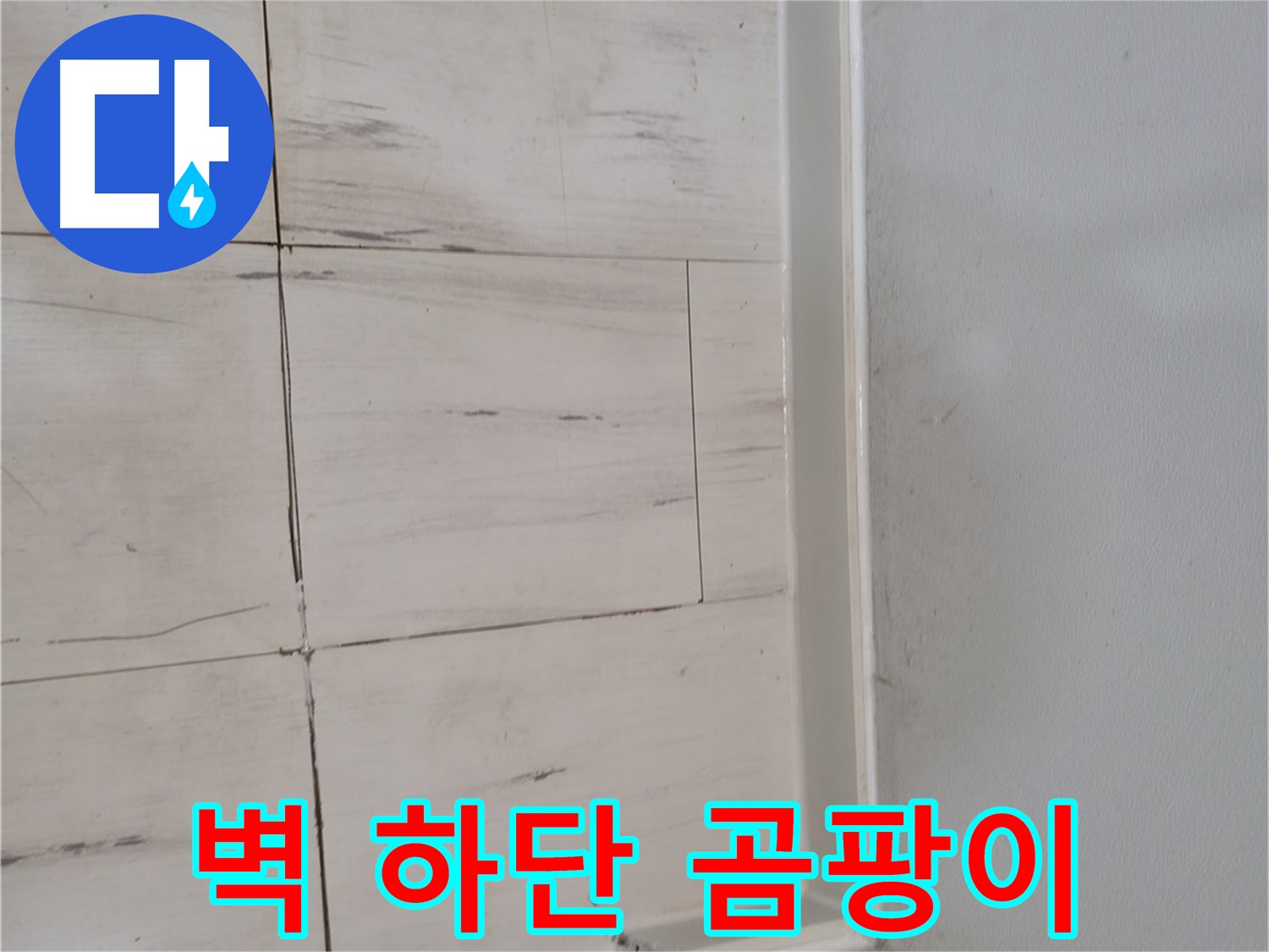 벽 하단 곰팡이 - 누수 의심