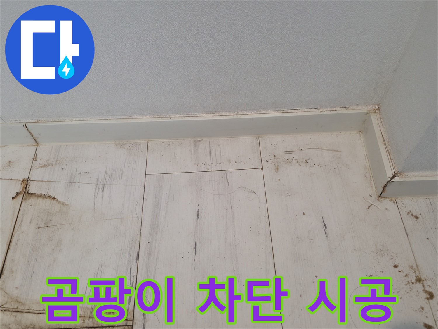 신림 누수 - 마루 곰팡이 완벽 차단 및 방수 시공 - 쾌적한 환경