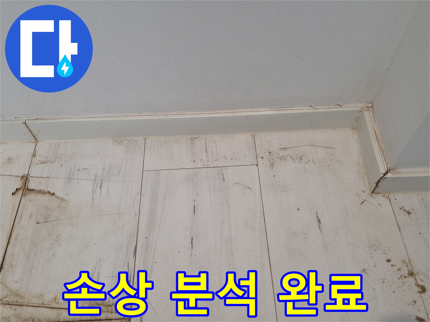 신림 누수 - 마루 손상 원인 분석 완료! - 맞춤 해결책