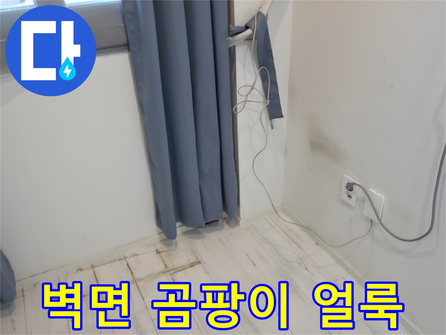 신림동 누수 - 벽면에 곰팡이와 얼룩 발견 - 정밀 누수 진단으로 원인 분석