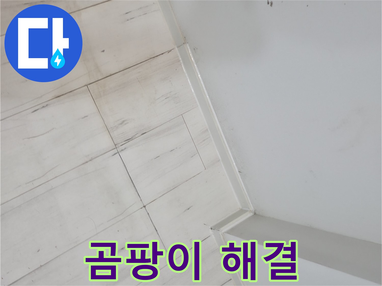 신림동 빌라 장판 틈새 곰팡이 누수 고민 해결