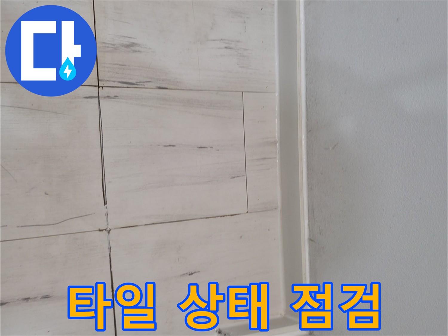 타일 상태 - 꼼꼼한 점검