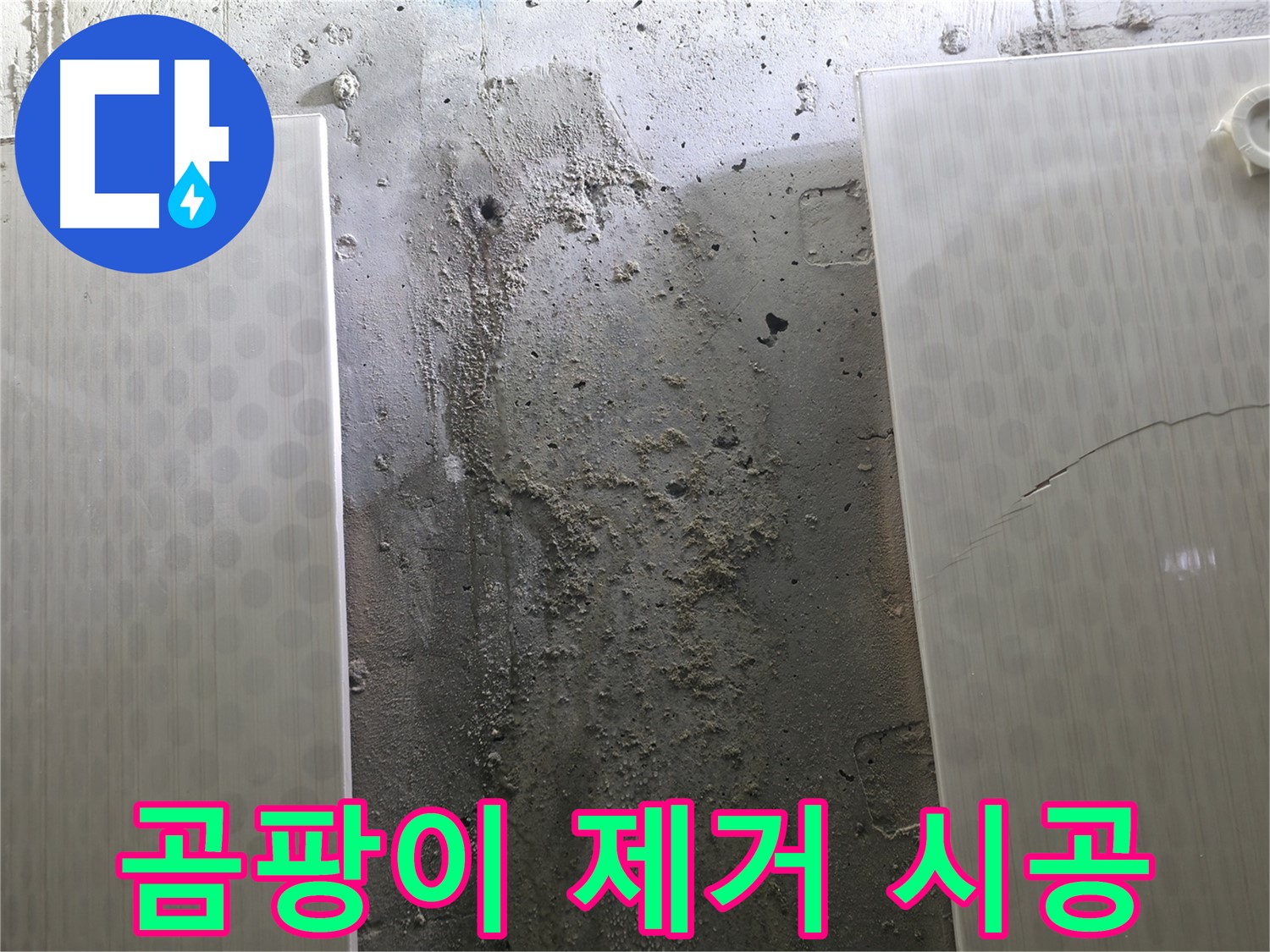 정릉동 스카이힐스테이 벽 누수 곰팡이 제거 시공 - 깨끗한 벽면 복원